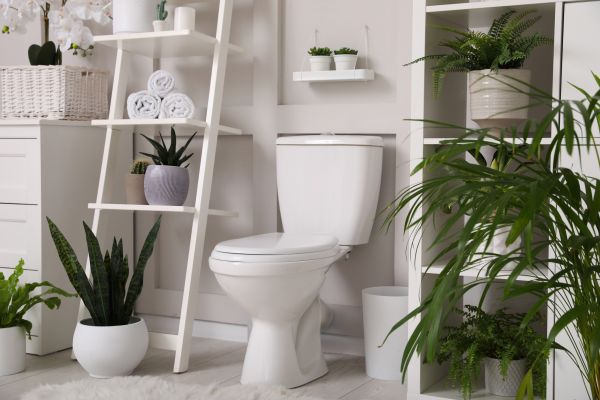 Cost of Toilet Repair in Cincinnati